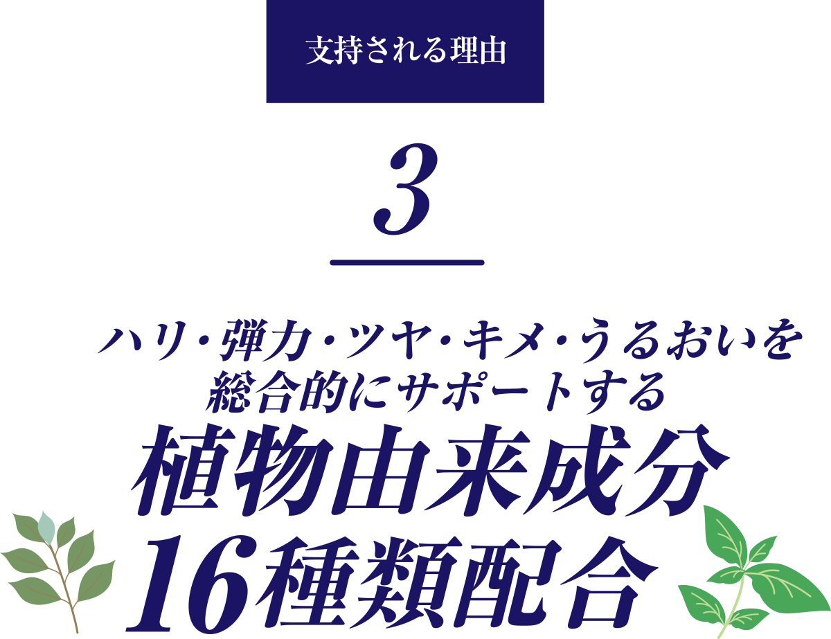 ハリ・弾力・ツヤ・キメ・うるおいを総合的にサポートする植物由来成分16種類配合