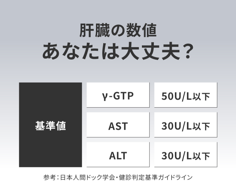 肝臓の数値あなたは大丈夫？