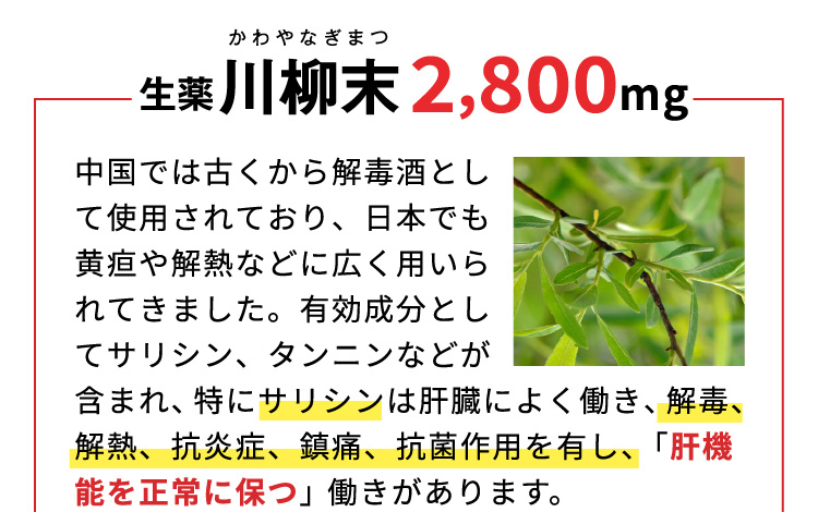 生薬川柳末2,800mg